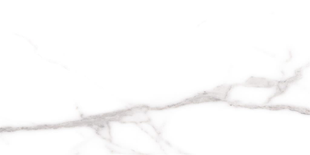 Cerdomus Omnia Statuario Matt 30x60 (R)