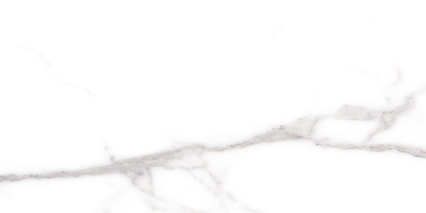 Cerdomus Omnia Statuario Matt 30x60 (R)