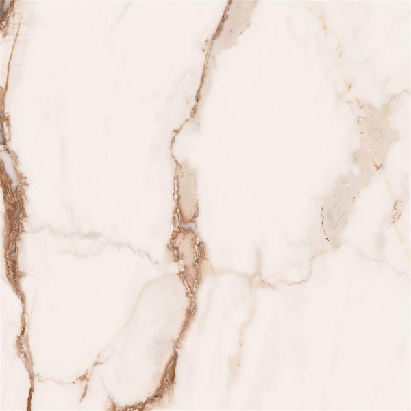 Cerdomus Omnia Machia Vecchia Polished 60x60 (R)