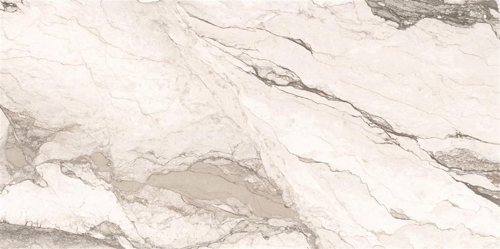 Cerdomus Omnia Camouflage Polished 60x120 (R)
