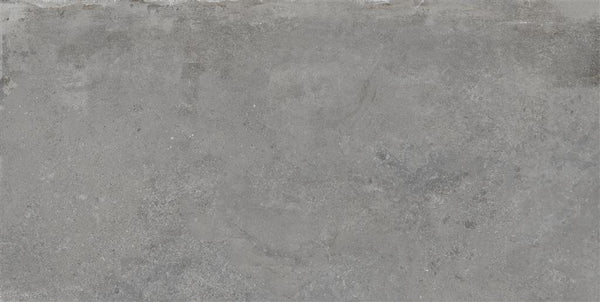 Ecoceramic Sonar Grey 60x120 (R)