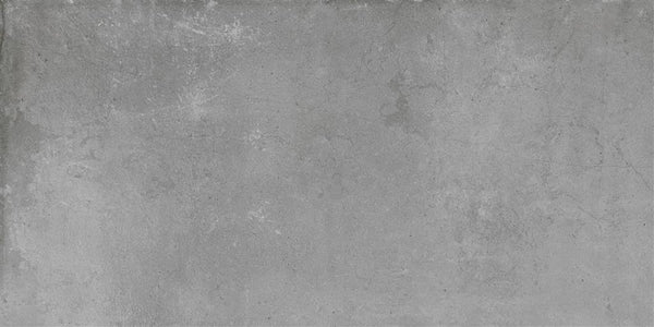 Ecoceramic Cloud Silver 60x120 (R)