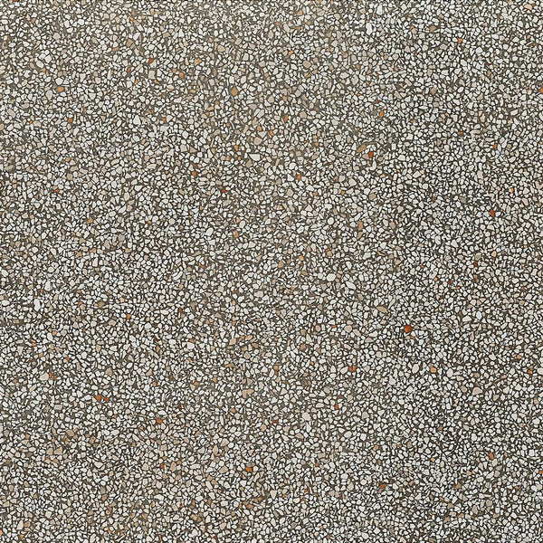 Coem Terrazzo Mini Beton Lucidato 60x60 (R)