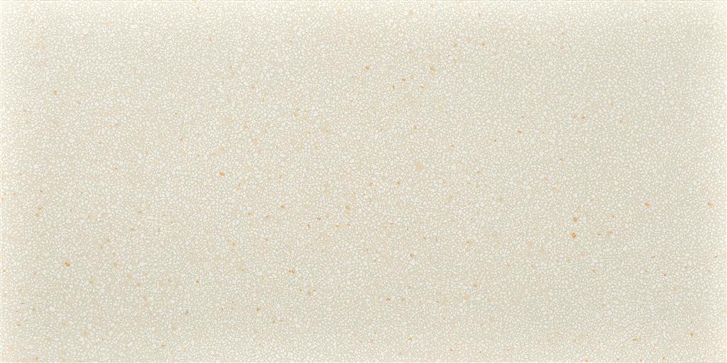 Coem Terrazzo Mini Caolino Lucidato 60x120 (R)