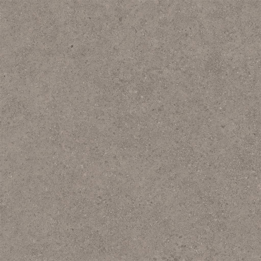 Cerdomus Pietra del Maniero Grigio Matt 60x60 (R)