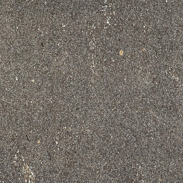 Coem Porfirica Graphite Naturale 60x60 (R)