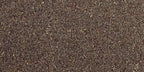 Coem Porfirica Brown