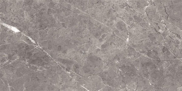 Ecoceramic Luxe Bolonia Polished 60x120 (R)