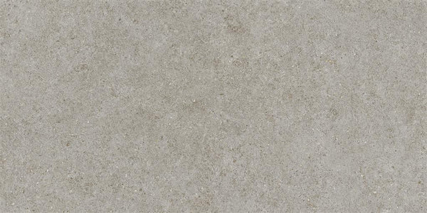 Atlas Concorde Boost Stone Grey Matt 60x120 (R)