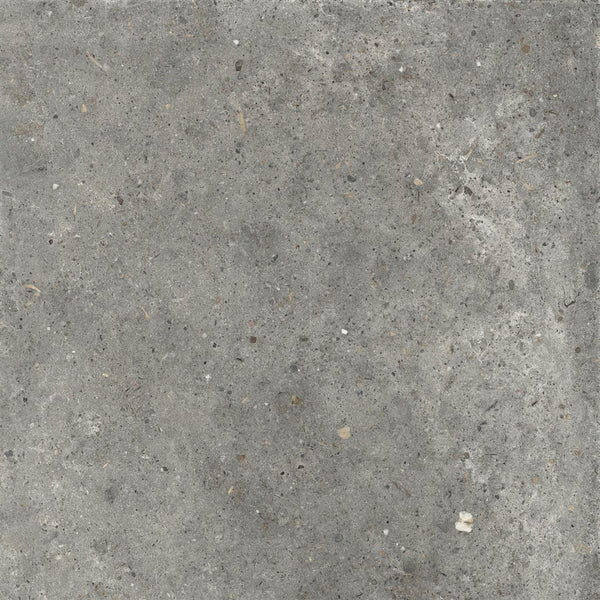 Ariana Anima Fango 60x60 (R)