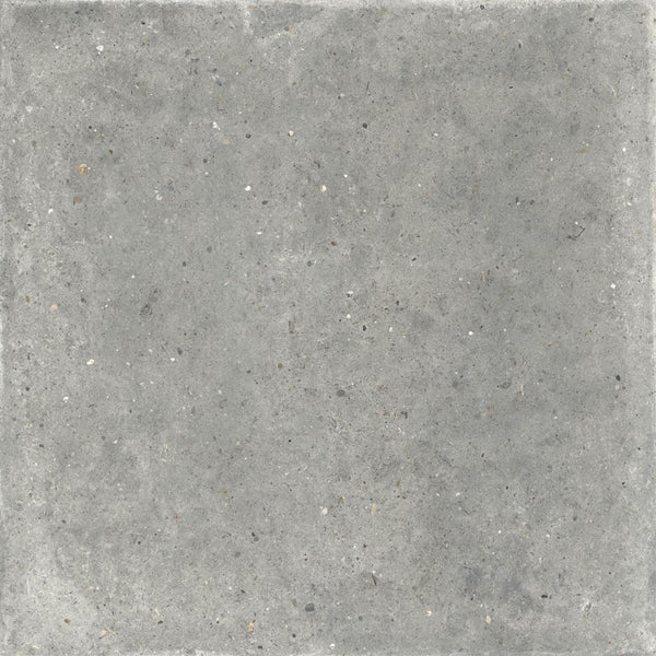 Ariana Anima Grigio 120x120 (R)