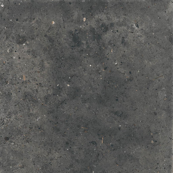 Ariana Anima Fumo 60x60 (R)