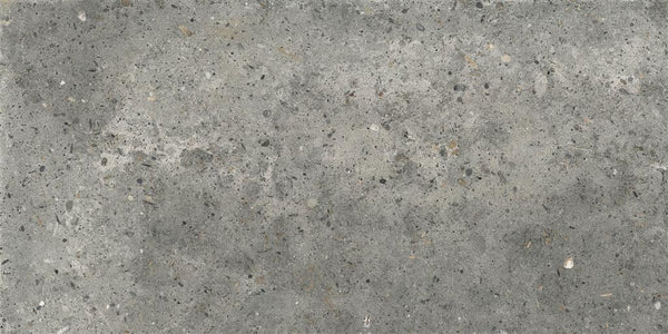 Ariana Anima Fango 30x60 (R)