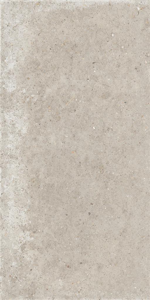 Ariana Anima Beige 60x120 (R)