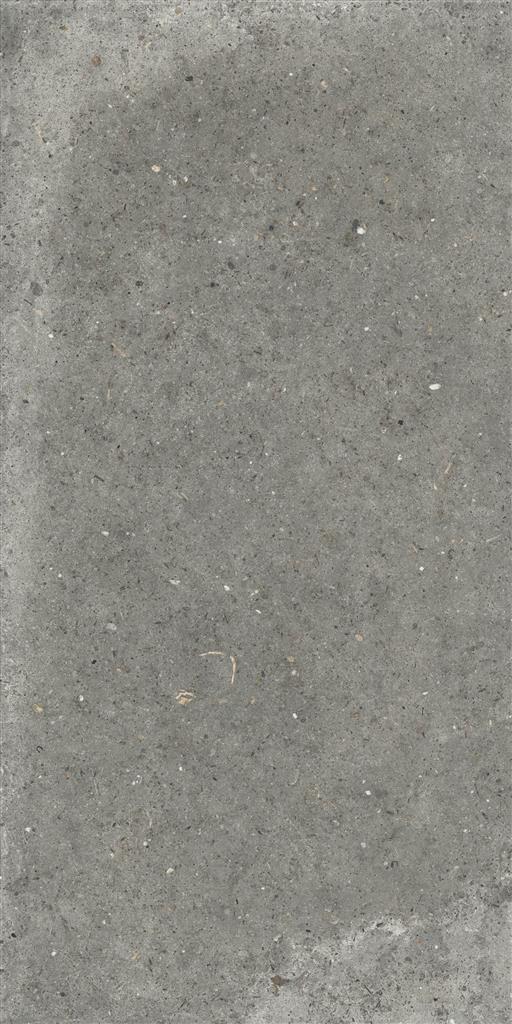 Ariana Anima Fango 60x120 (R)
