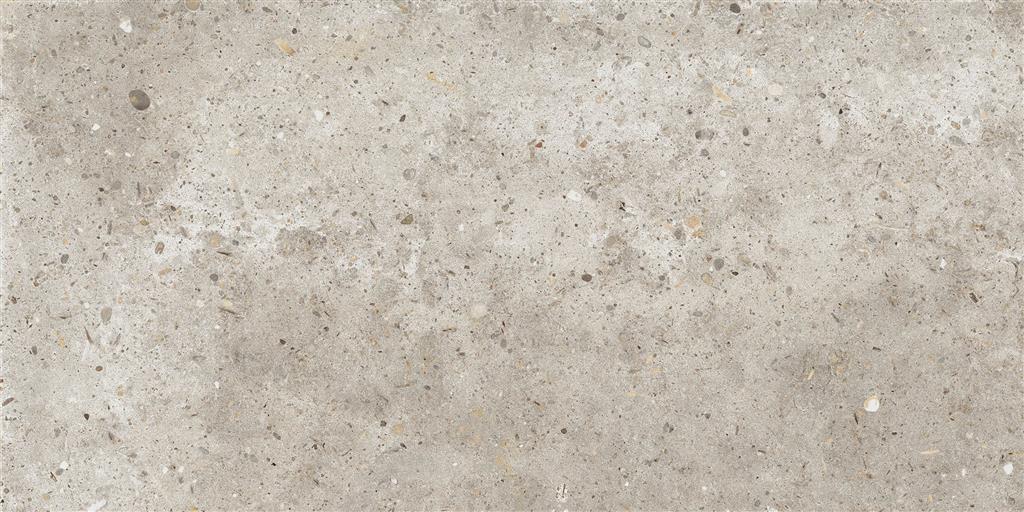 Ariana Anima Beige 30x60 (R)