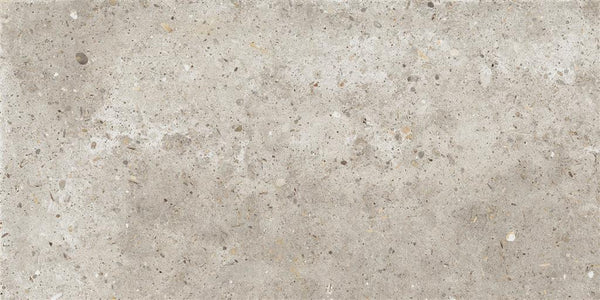 Ariana Anima Beige 30x60 (R)