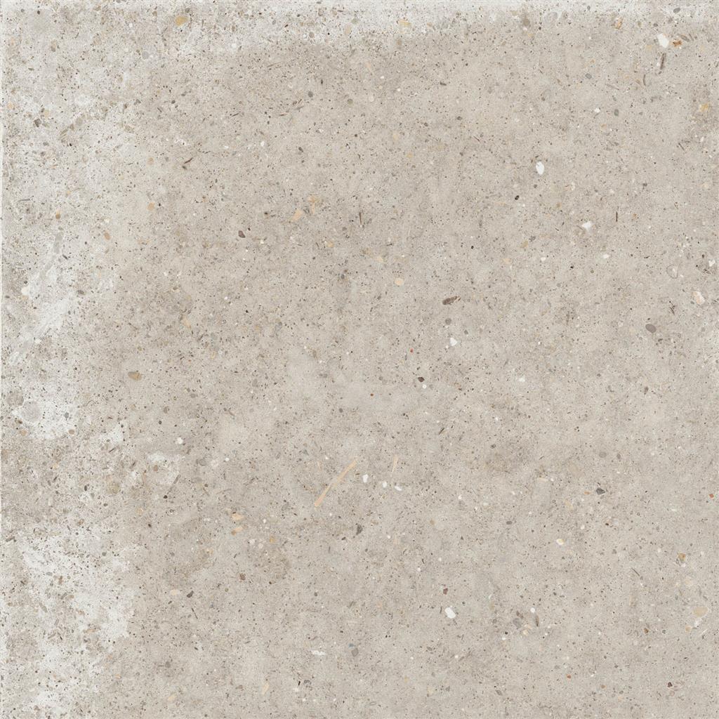 Ariana Anima Beige 60x60 (R)