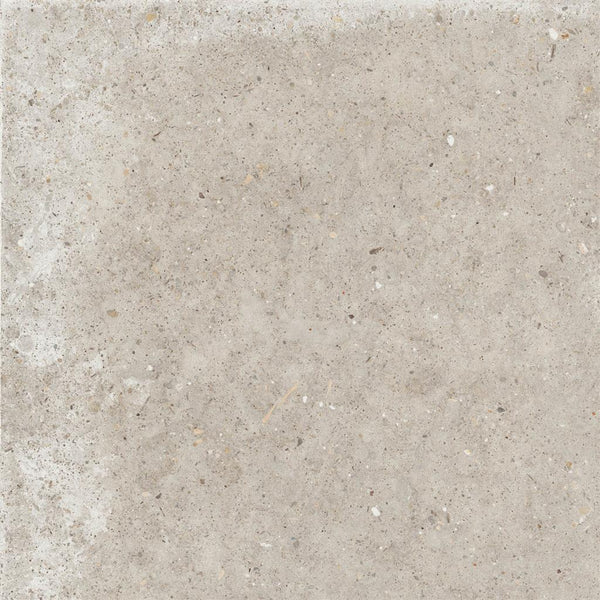 Ariana Anima Beige 60x60 (R)
