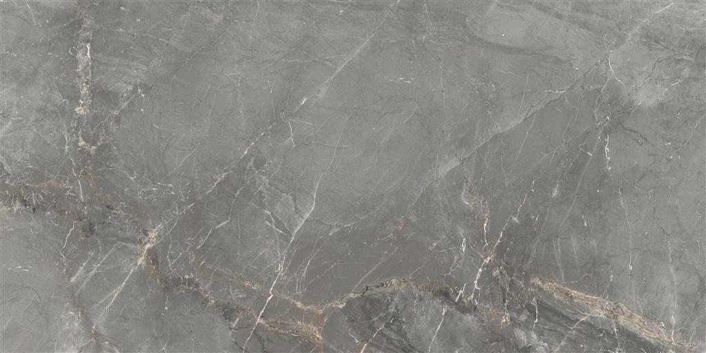 Cerdomus Sybil Silver Matt 60x120 (R)