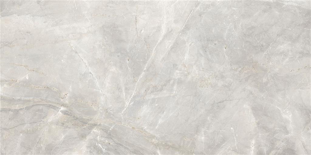 Cerdomus Sybil Light Grey Matt 60x120 (R)