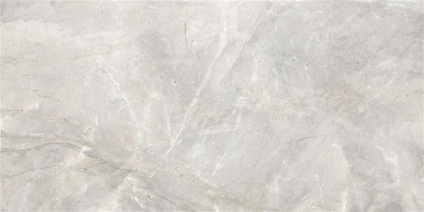 Cerdomus Sybil Light Grey Matt 60x120 (R)