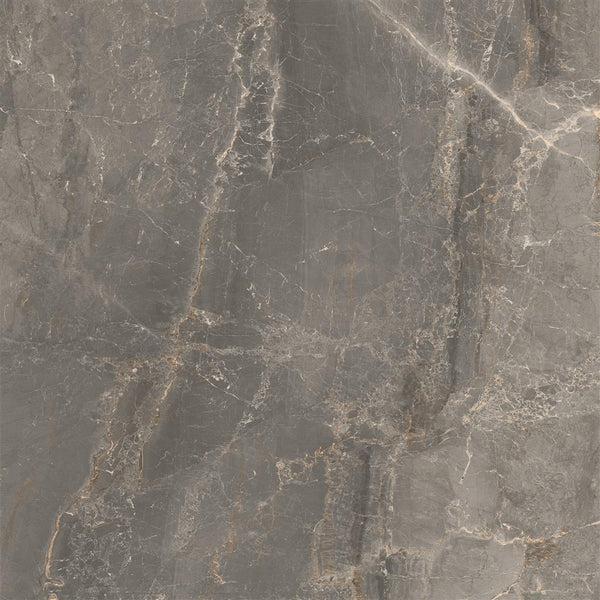 Cerdomus Sybil Silver Matt 60x60 (R)