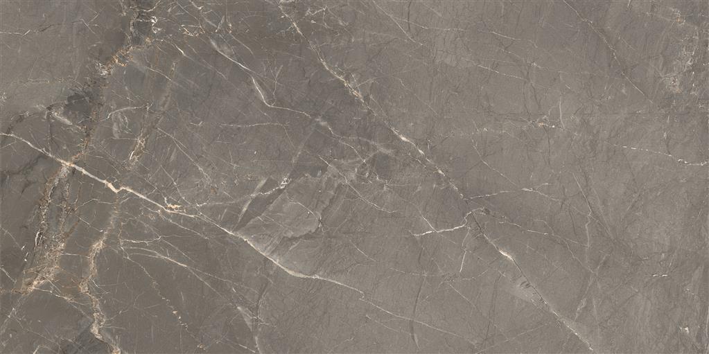 Cerdomus Sybil Silver Matt 30x60 (R)