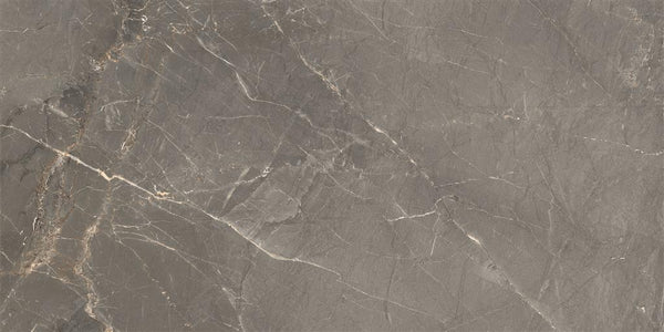 Cerdomus Sybil Silver Matt 30x60 (R)