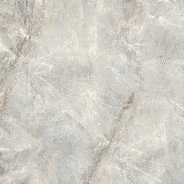 Cerdomus Sybil Light Grey Polished 120x120 (R)