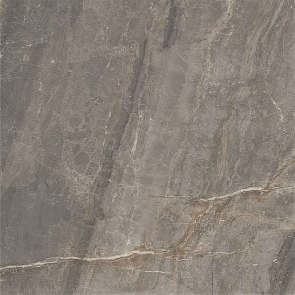 Cerdomus Sybil Silver Polished 60x60 (R)
