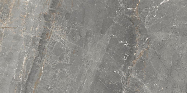 Cerdomus Sybil Silver Polished 30x60 (R)