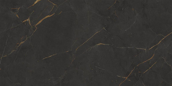 Cerdomus Omnia Galaxia Polished 30x60 (R)