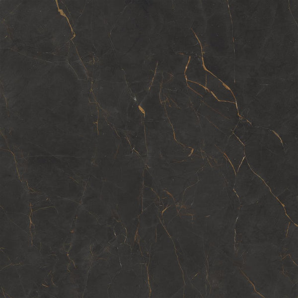 Cerdomus Omnia Galaxia Polished 120x120 (R)