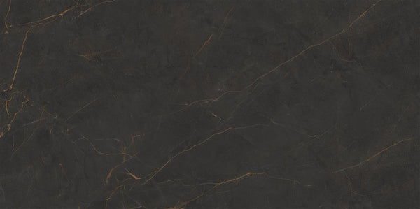 Cerdomus Omnia Galaxia Matt 60x120 (R)