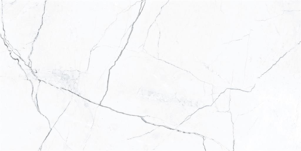 Ecoceramic Luxe Elegance Marble White Polished 60x120 (R)