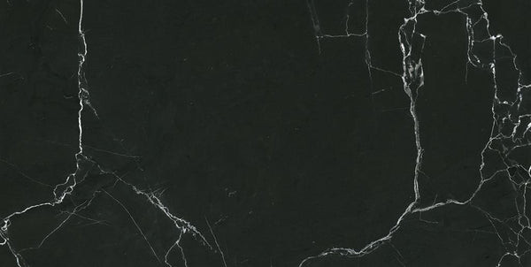 Ecoceramic Ultra Gloss Saigon Black 60x120 (R)
