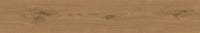 Atlas Concorde Entice Natural Copper Oak Matte (Sensitech) 20x120 (R)