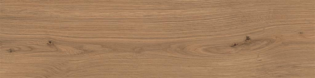 Atlas Concorde Log Deep Oak Forest 20mm Outdoor 30x120 (R)