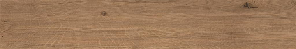 Atlas Concorde Log Deep Oak Forest Matt 20x120 (R)