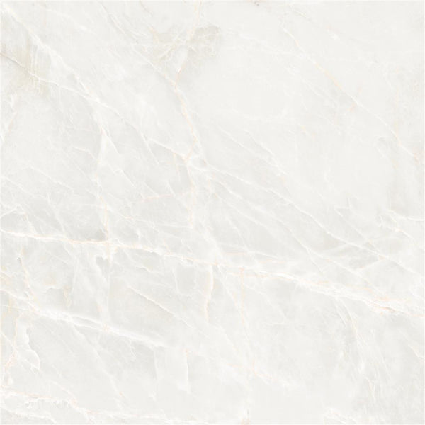 Ecoceramic Brasilia White Polished 120x120 (R)