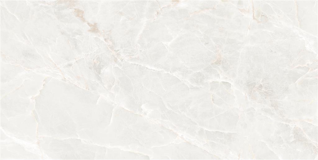 Ecoceramic Brasilia White Mate 60x120 (R)