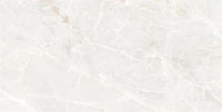 Ecoceramic Brasilia White 60x120