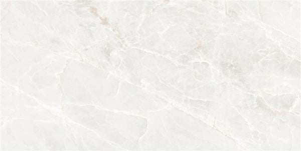 Ecoceramic Brasilia White Mate 75x150 (R)