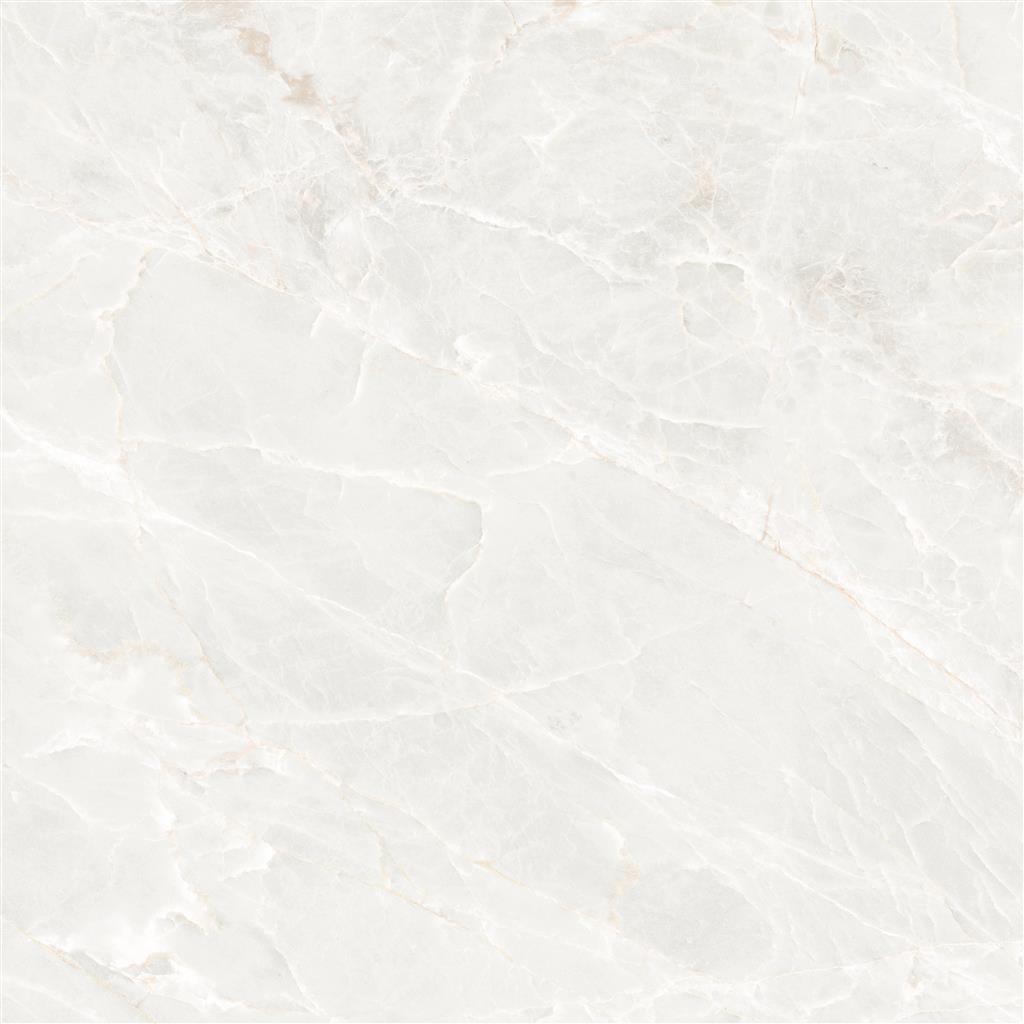 Ecoceramic Brasilia White Mate 120x120 (R)