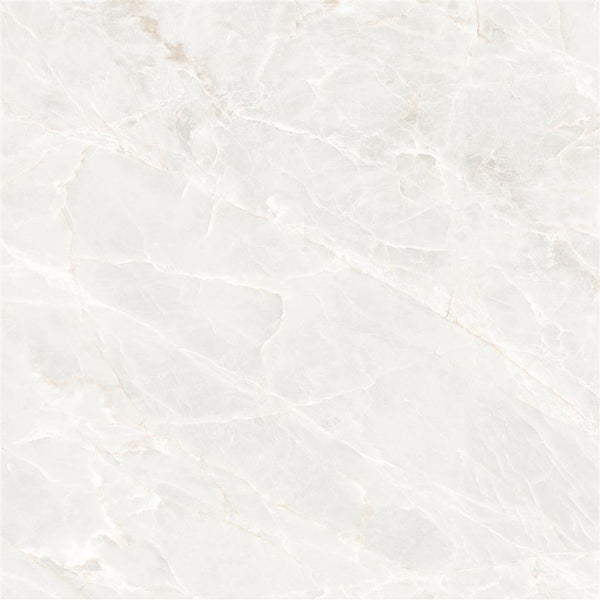 Ecoceramic Brasilia White Mate 120x120 (R)