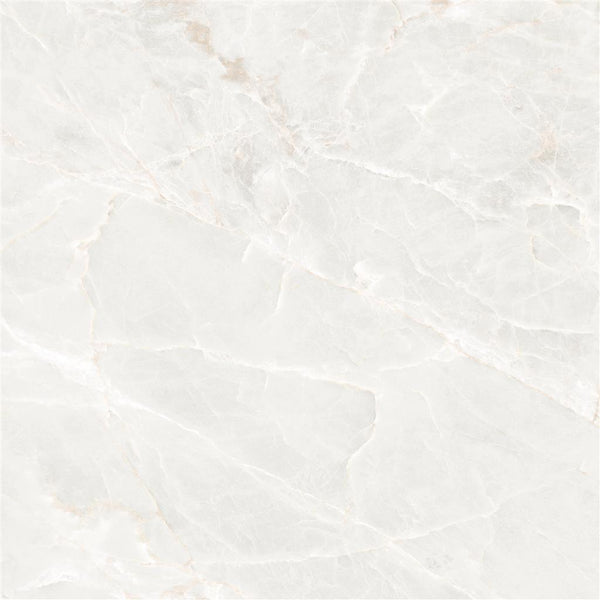 Ecoceramic Brasilia White Mate 90x90 (R)
