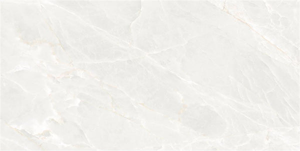 Ecoceramic Brasilia White Polished 75x150 (R)