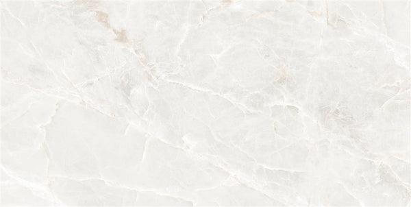 Ecoceramic Brasilia White Polished 60x120 (R)