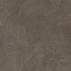 Cerdomus Moonstone Brown